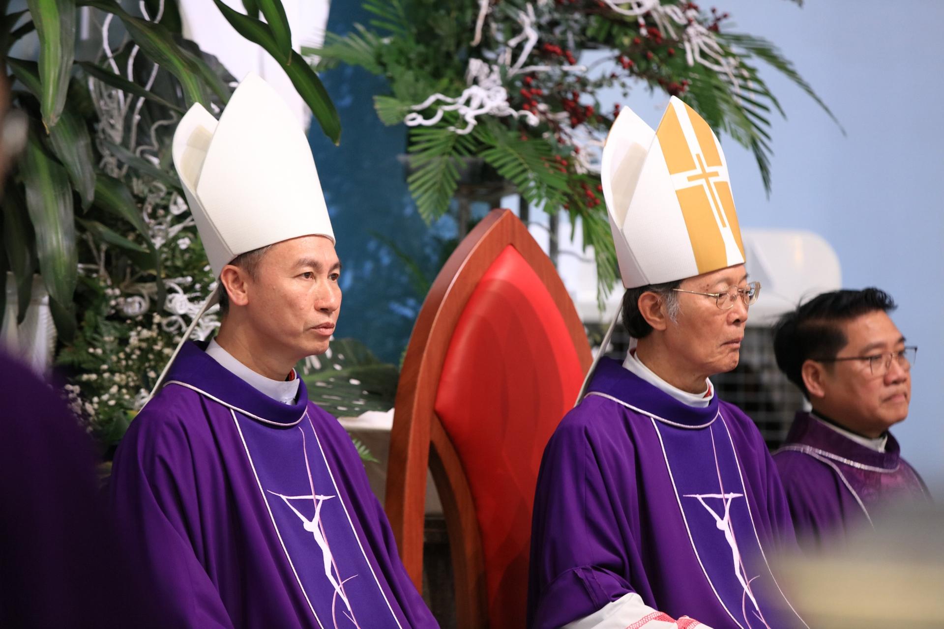 Photo-6
